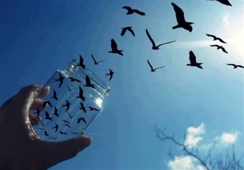 کمک ۱۰ میلیارد ریالی خیرین به آزادی زندانیان در ساوجبلاغ